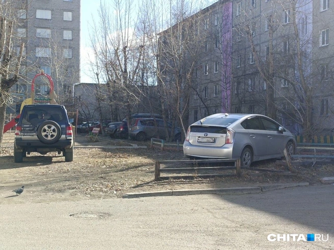 Источник: Любовь Никитина