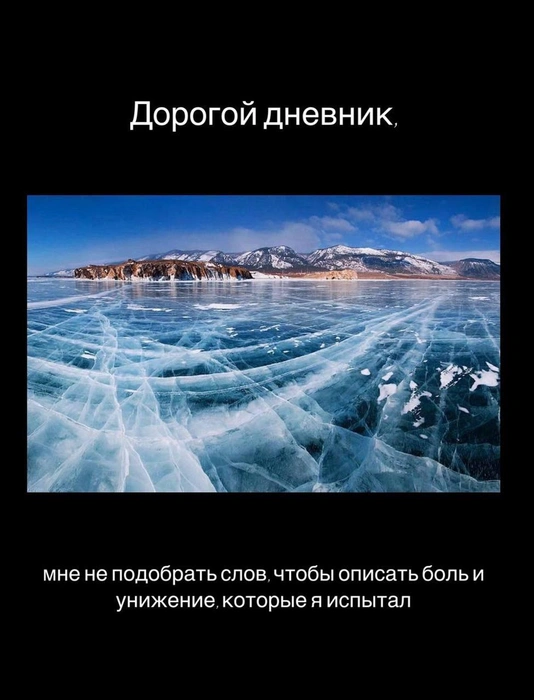 Источник: «СОБЧАК» / Telegram
