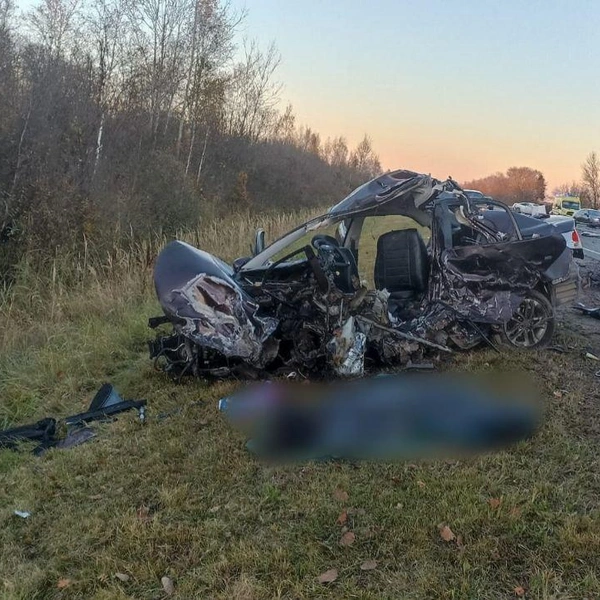 Источник: Управление Госавтоинспекции УМВД России по Новгородской области / Telegram