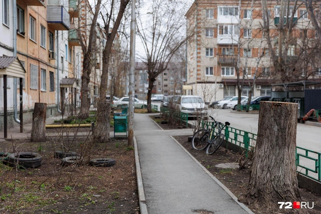 Интересный факт о КПД: именно здесь появился первый в Тюмени проезд&nbsp;— Геологоразведчиков. Парадокс в том, что сквозного проезда по этой улице никогда не было | Источник: Ирина Шарова / 72.RU