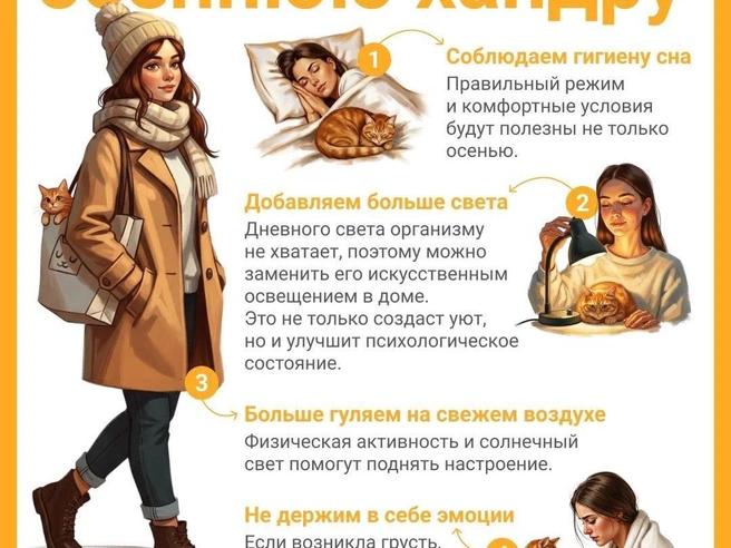 Собрали полезные лайфхаки в карточке | Источник: Полина Авдошина / Городские медиа