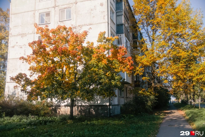Источник: Иван Митюшёв / 29.RU