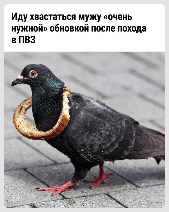 Пусть оценит красоту | Источник: Городские медиа