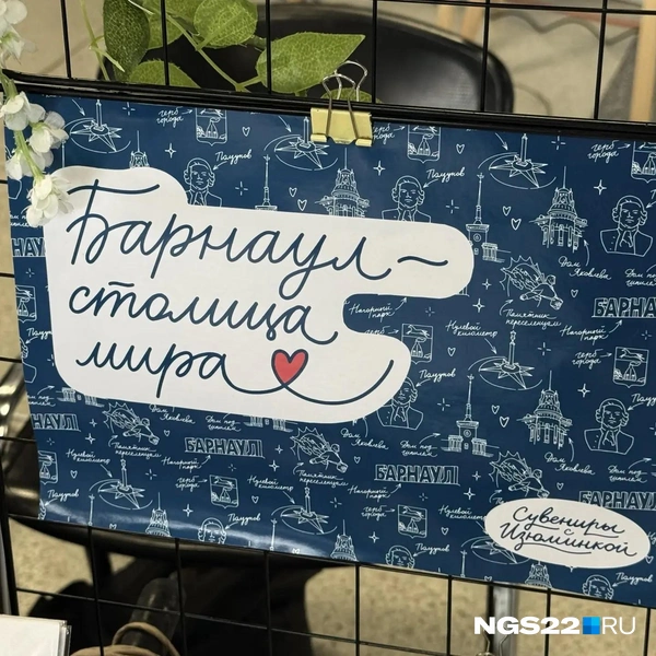 Источник: Полина Шевчукова / NGS22.RU