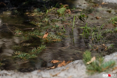 Прогноз погоды на неделю и 1 мая от Андрея Шихова