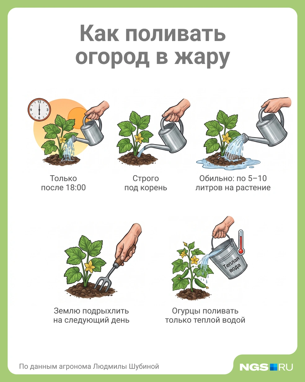 Источник: Семен Казьмин / Городские медиа