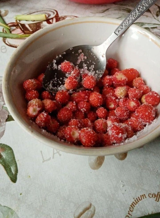 Эти ягоды были собраны в соседней Курганской области. Некоторые любят есть землянику с сахаром, получается вкусно | Источник: читатель 72.RU