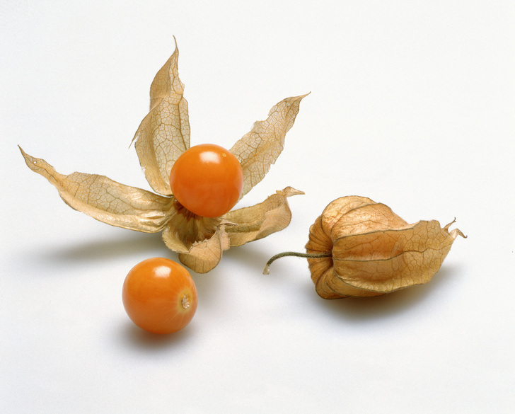 Физалис съедобный похож на небольшие томаты