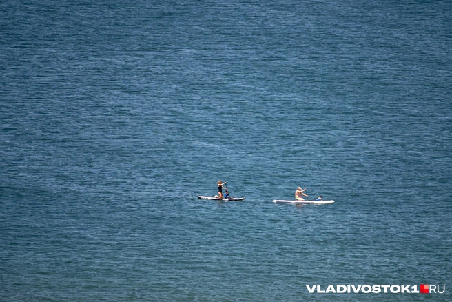 Источник: Елена Буйвол / VLADIVOSTOK1.RU