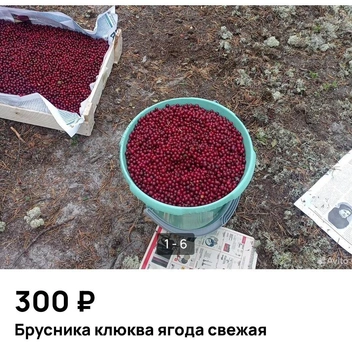 Удивительно, но кто-то даже находит клюкву и бруснику | Источник: Avito.ru