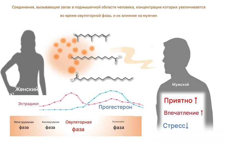 Источник: Университет Токио/Google translate