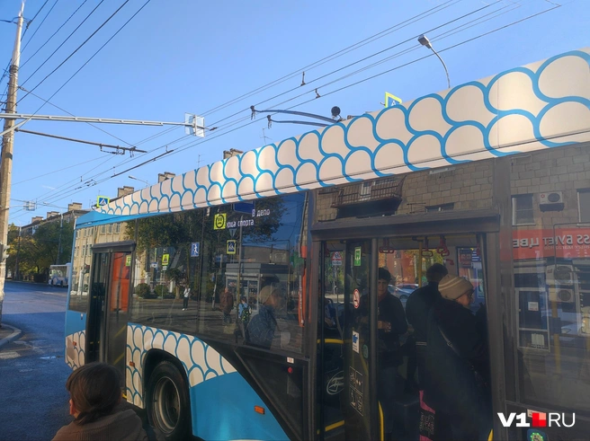 Дожидаться троллейбуса жителям пришлось около получаса | Источник: читатели V1.RU