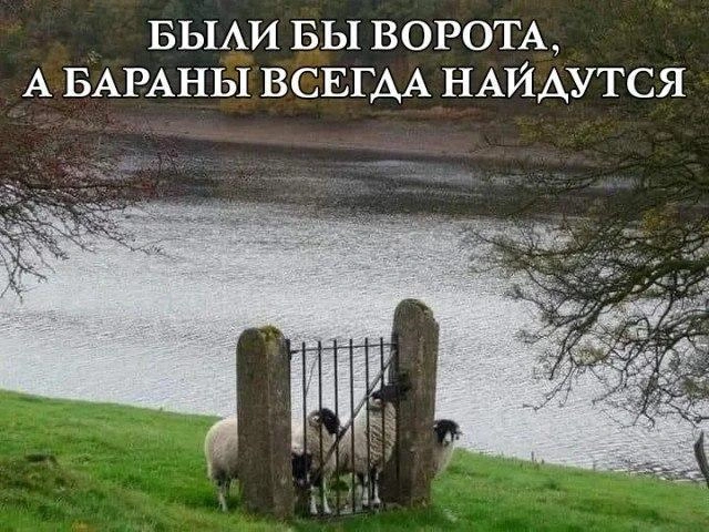 Источник: читатель E1.RU