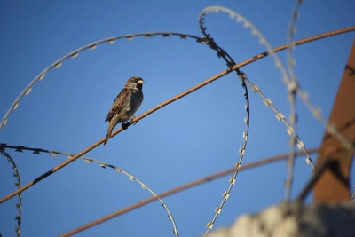 Студенту грозит колония за избиение школьников по заказу