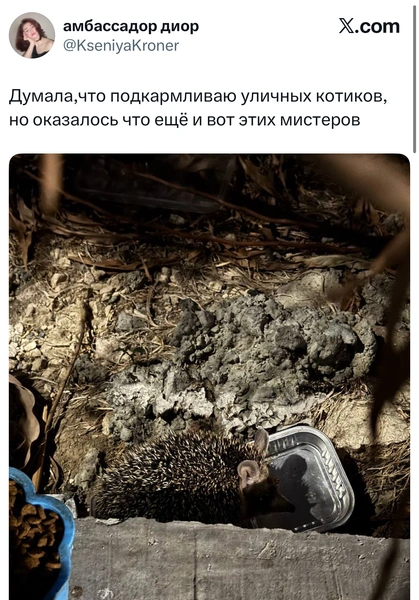 Источник: X (Twitter)