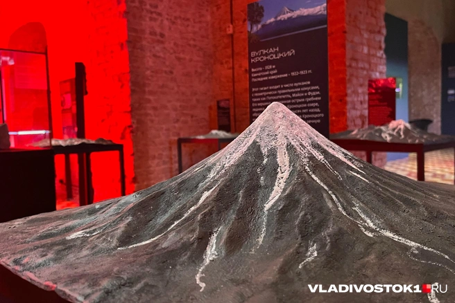 Источник: Елена Буйвол / VLADIVOSTOK1.RU