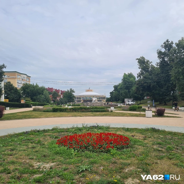 У такой клумбы вряд ли кто-то захочет сфотографироваться | Источник: Светлана Коновалова / YA62.RU