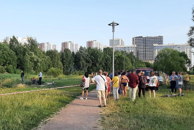 В пруду на юге Петербурга ищут утонувшего мальчика. С его мамой работает психолог (фото) | Источник: ДТП и ЧП | Санкт-Петербург | Питер Онлайн | СПб