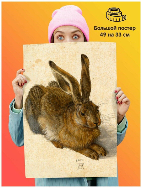 Постер-плакат «Альбрехт Дюрер — Рисунок Заяц»