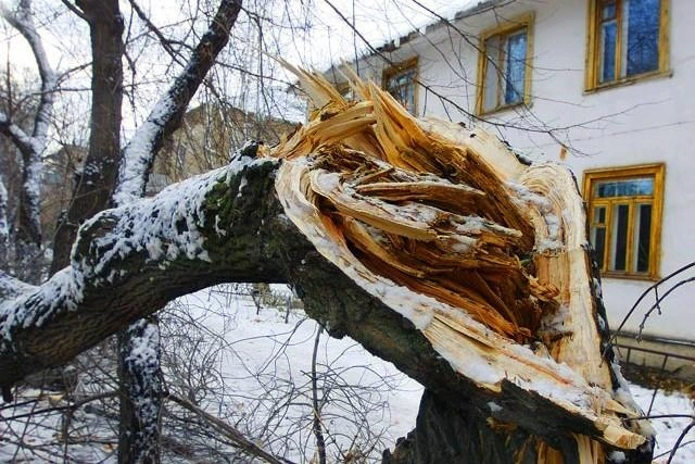 Из-за атмосферного фронта на Южном Урале резко усилится ветер | 74.ru