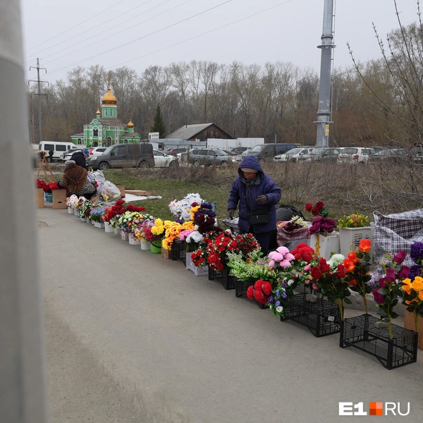 Источник: Кирилл Кушнов / E1.RU