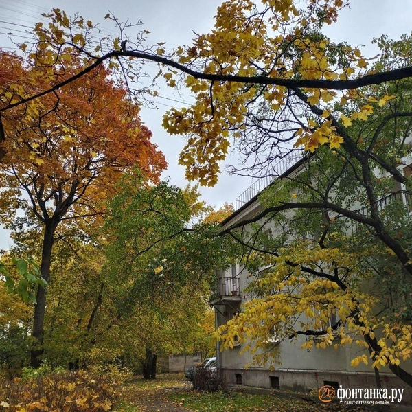 Источник: читатель «Фонтанки»