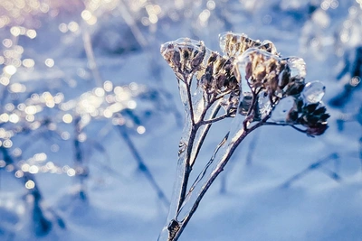 Волгоградский фотограф запечатлела ледяную философию зимы