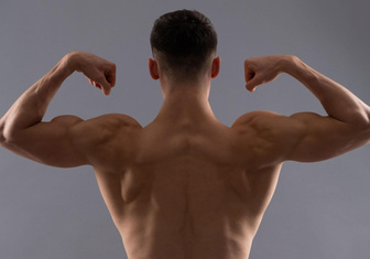 Какая мышца у человека самая сильная?