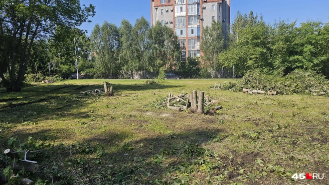 Идет уборка напротив дома на ул.Карельцева, 111а | Источник: Дарья Никитченко /45.RU