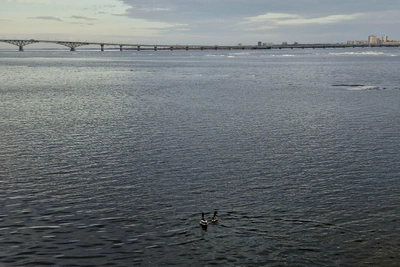 В Саратовской области открывается сезон речных перевозок