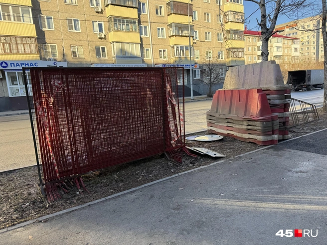 Источник: Юлия Король / 45.RU