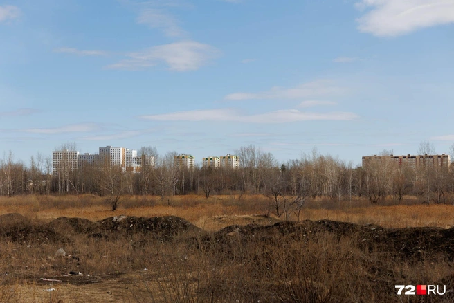 Возможно, скоро это место застроят домами | Источник: Ирина Шарова / 72.RU