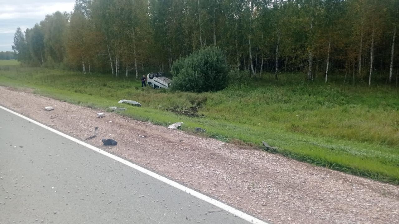 В Новосибирской области произошло смертельное ДТП в Ордынском районе - 13  сентября 2023 - НГС.ру