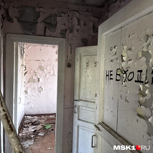 Источник: Алина Мельникова / MSK1.RU