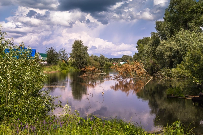 Свои дачи не получили больше 40 человек  | Источник: Ольга Бурлакова / NGS.RU