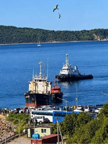 Источник: vdk_tiger_vladivostok25 / t.me
