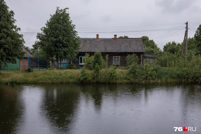 Хорошо в деревне летом  | Источник: Александр Куренной / 76.RU