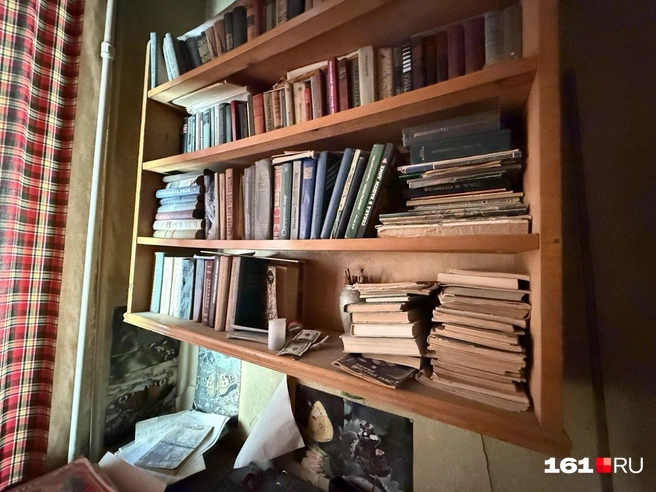 Источник: Марина Рыбалкина / 161.RU