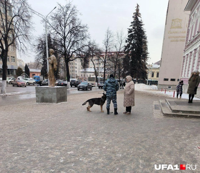 Кинологи у гимназии | Источник: Айгиз Гильманов / UFA1.RU