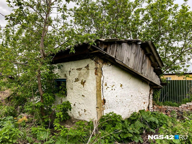 Источник: Елизавета Богатырева / NGS42.RU