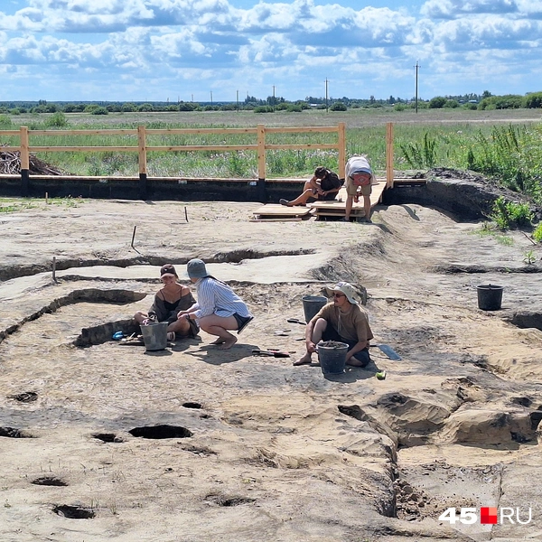 На этом участке были найдены рыбьи кости, керамика, череп древнего быка | Источник: Александр Лисихин / 45.RU