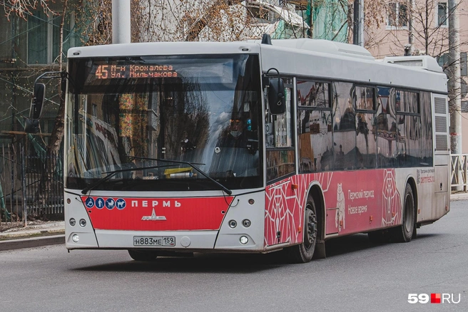 Автобус № 45 будет останавливаться на старом месте | Источник: Тимофей Калмаков