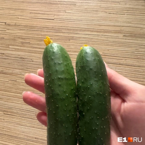 Источник: читательница E1.RU Юлия