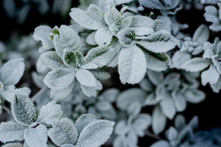 Источник: unsplash
