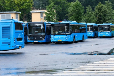 В Подмосковье с 20 июня запускают три новых автобусных маршрута