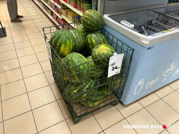 Источник: Мария Мишукова / Voronezh1.ru