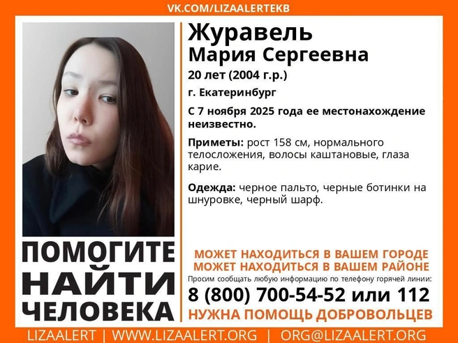 Источник: «ЛизаАлерт»