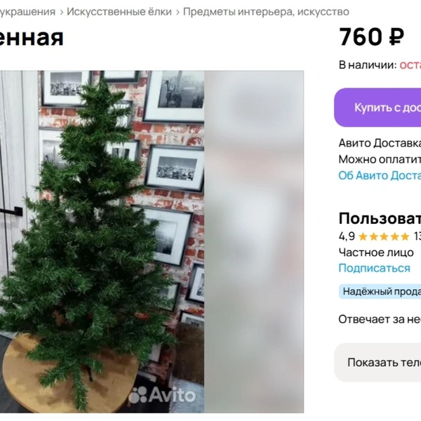 Можно найти ели небольшого размера | Источник: Avito