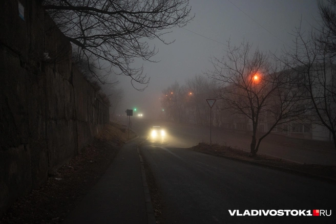 Источник: Елена Буйвол / VLADIVOSTOK1.RU
