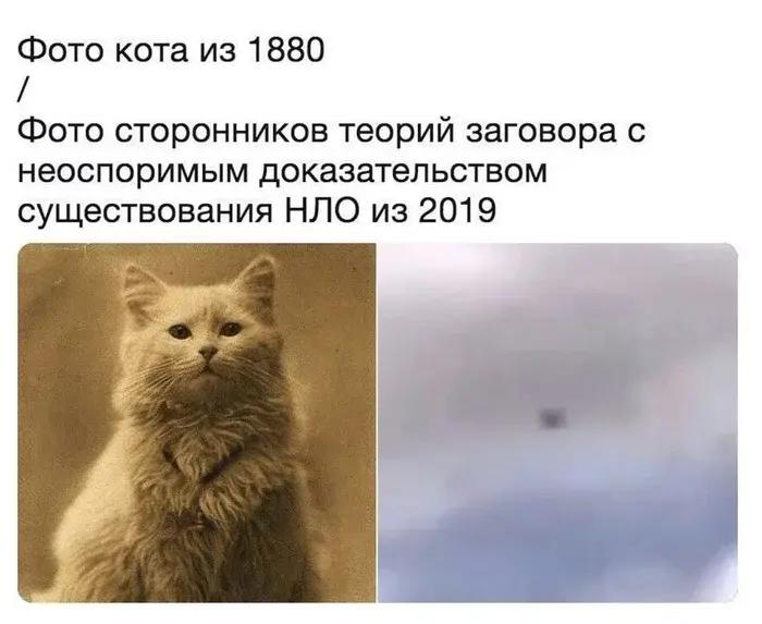 Самые смешные мемы про теории заговора. Часть 4 | Источник: Соцсети